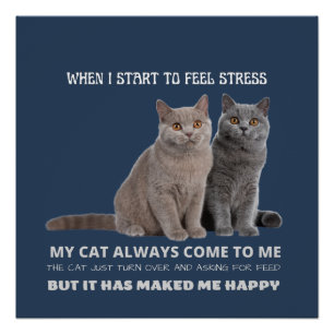 mi gato siempre me hace feliz poster