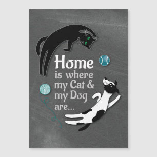 Mi gato y mi perro están en casa