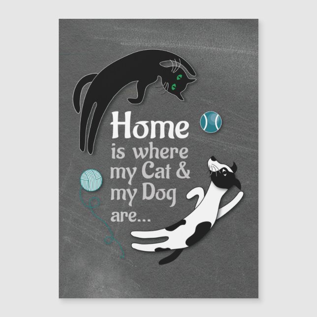 Mi gato y mi perro están en casa (Anverso)