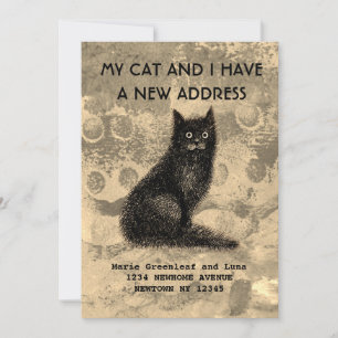 Mi gato y yo hemos movido la Invitación