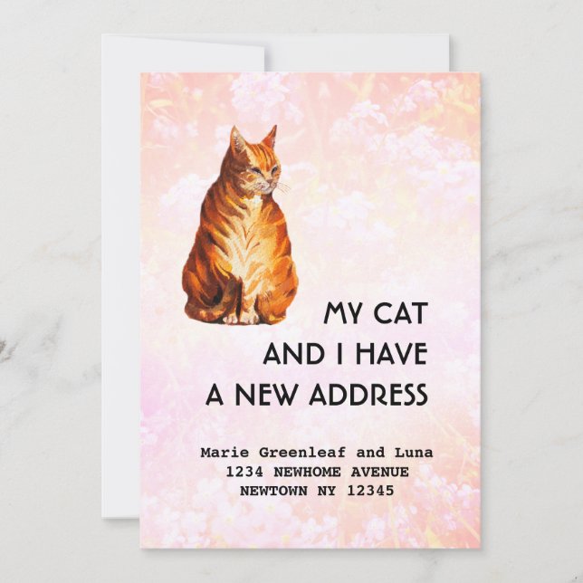 Mi gato y yo hemos movido la Invitación (Anverso)