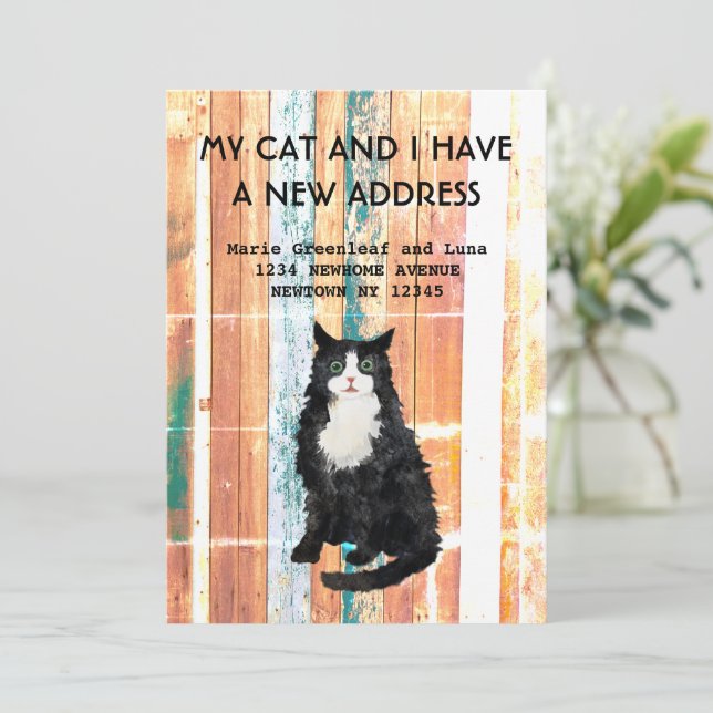Mi gato y yo nos hemos mudado Anuncio (Anverso de pie)