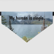 Mi humano es soltero