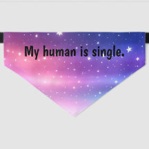 Mi humano es soltero 2