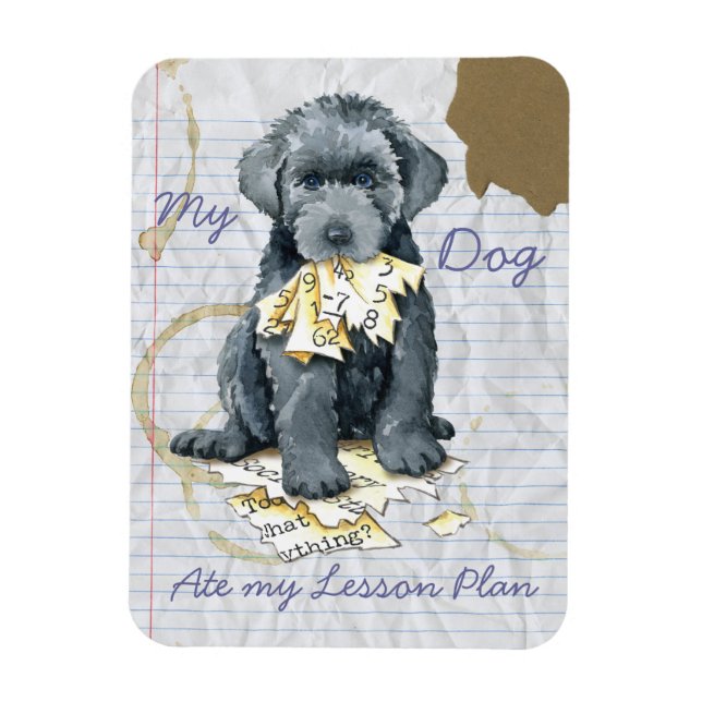 Mi imán Bouvier Ate Mi Lección Plan (Vertical)