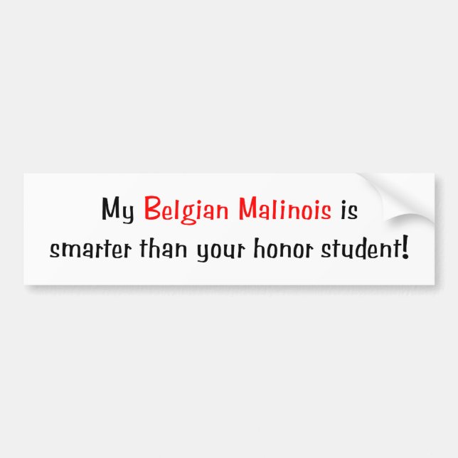 Mi Malionis belga es más elegante… Pegatina para (Frente)