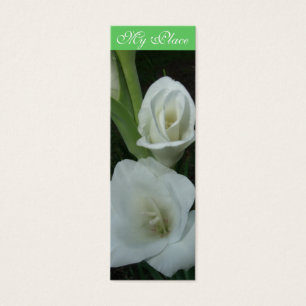Mi marca de libro de Gladiola del lugar