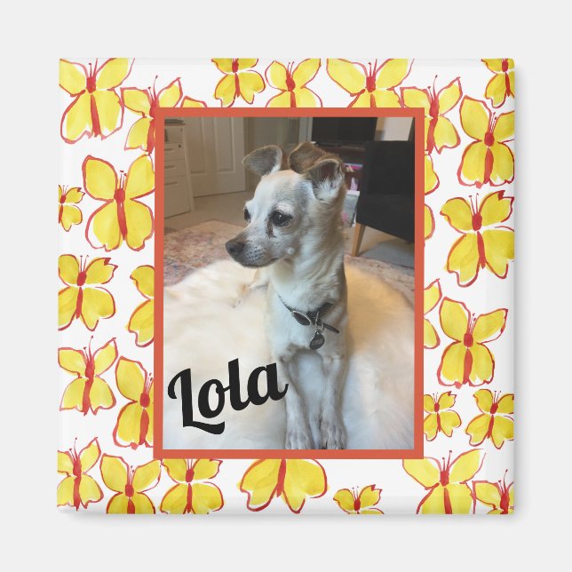 Mi Mascota Personalizada Imán Fotográfico Enmarcad (Frente)