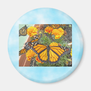 Mi monarca mariposa imán