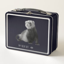 Mi nueva caja de almuerzo Metalizado de ferret BFF
