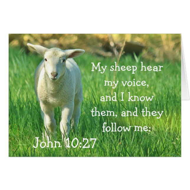 Mi oveja escucha mi voz, tarjeta John 10:27 (Anverso (Horizontal))