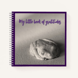 Mi Pequeño Libro de Gratitudes.