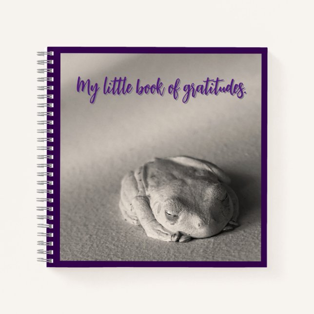 Mi Pequeño Libro de Gratitudes. (Anverso)