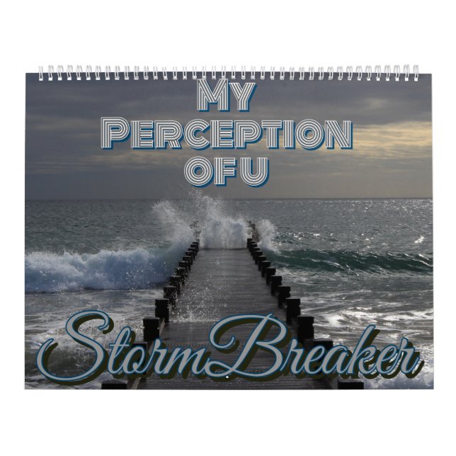 Mi percepción del calendario (Tapa)