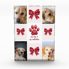 Mi Perro Es Mi San Valentín Bow 4 Fotos