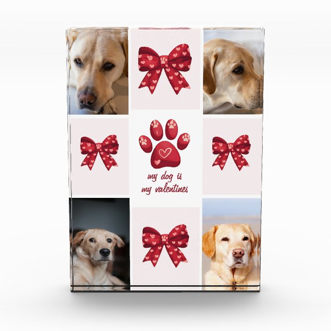 Mi Perro Es Mi San Valentín Bow 4 Fotos (Anverso)