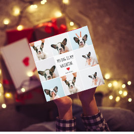 Mi Perro Es Mi Valentín | Dos fotos de perros