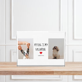 Mi Perro Es Mi Valentín | Dos fotos de perros