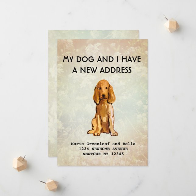 Mi perro y yo nos hemos mudado Anuncio (Anverso/Reverso In Situ)