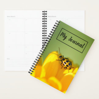 Mi planificador de diarios