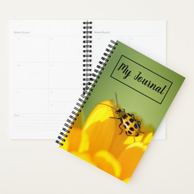 Mi planificador de diarios (Demostración)