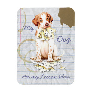 Mi puntero se comió mi imán de plan de lección