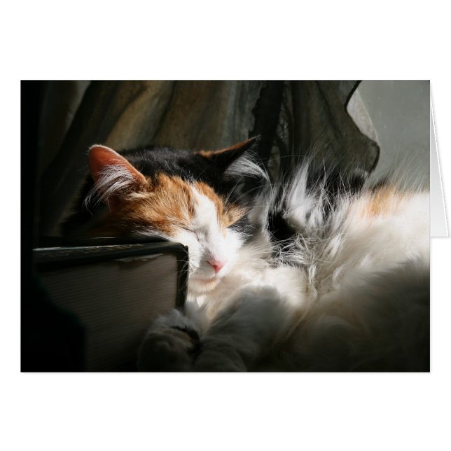 Mi rayo de sol (Anverso (Horizontal))