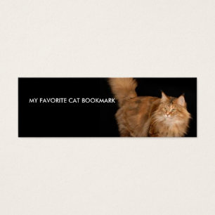 Mi señal preferida del gato