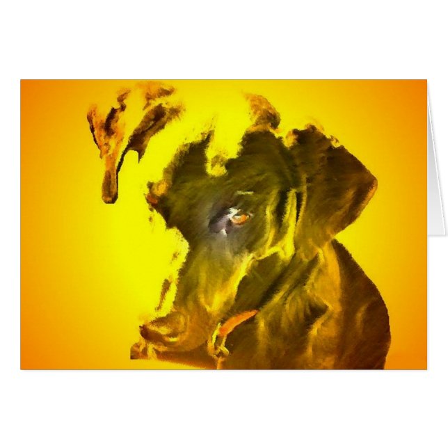 Mi sol (Anverso (Horizontal))