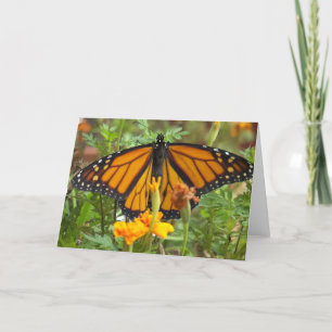 Mi tarjeta de saludo de Mariposa Monarca