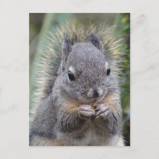 Mi tarjeta postal difusa