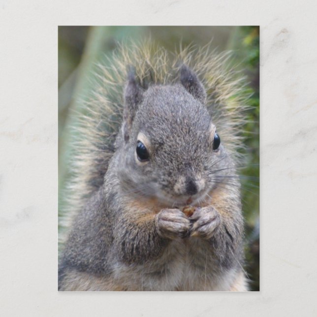 Mi tarjeta postal difusa (Anverso)