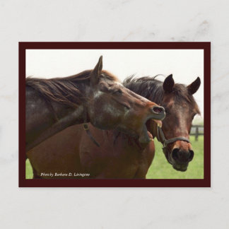 Mi Turbulenta señorita con tarjeta postal Taba