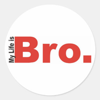 MI VIDA SON PEGATINAS BRO