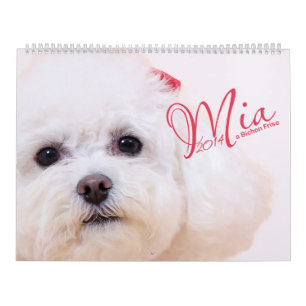 Mia - un calendario de Bichon Frise 2014
