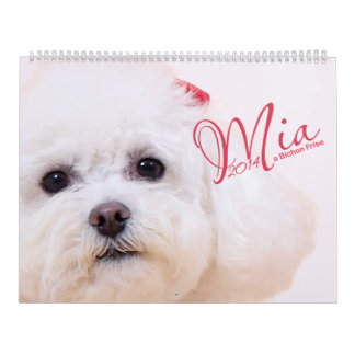 Mia - un calendario de Bichon Frise 2014