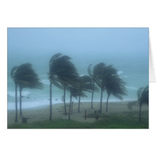 Miami Beach, Florida, vientos huracanados azotando