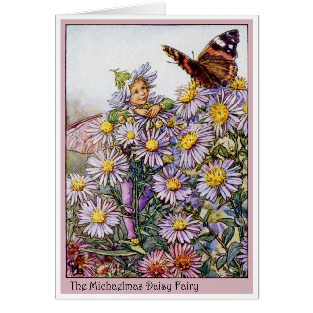 Michaelmas Daisy Fairy (Frente)