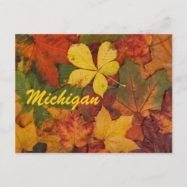 Michigan Autumn deja su postal (Anverso)