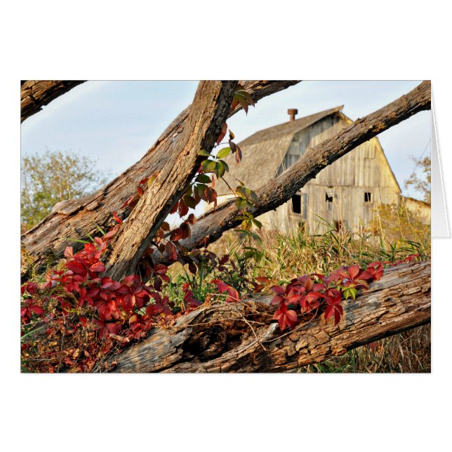 Michigan Barn and Fall Color (Anverso (Horizontal))