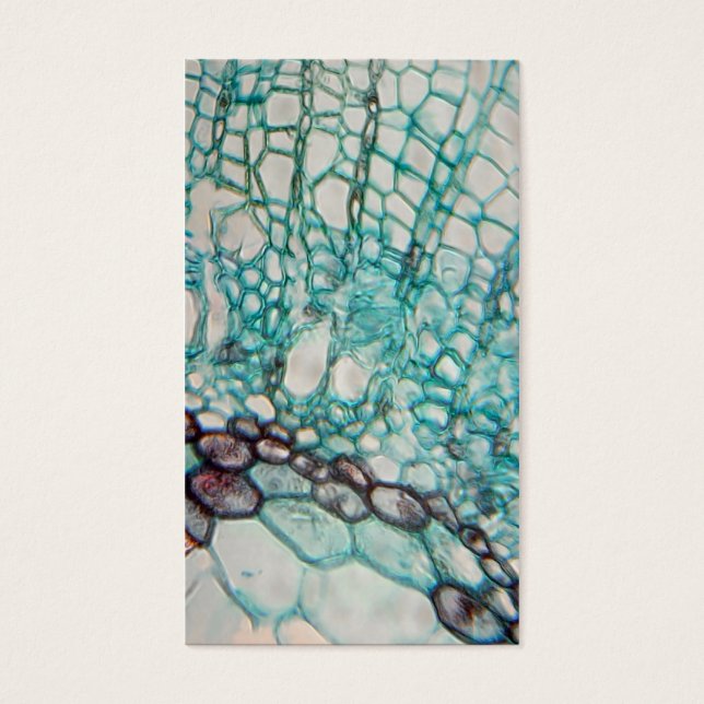 micrografía de células vegetales (Frente)