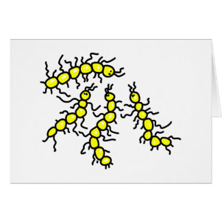 Microorganismos