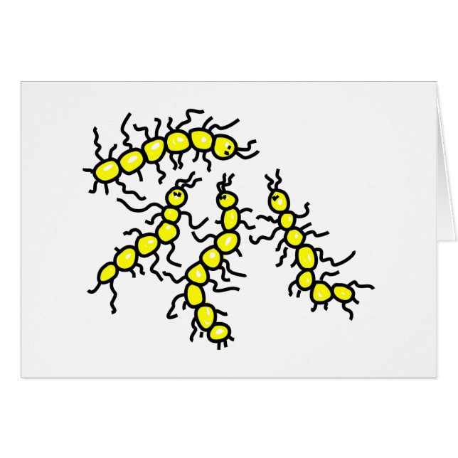 Microorganismos (Anverso (Horizontal))