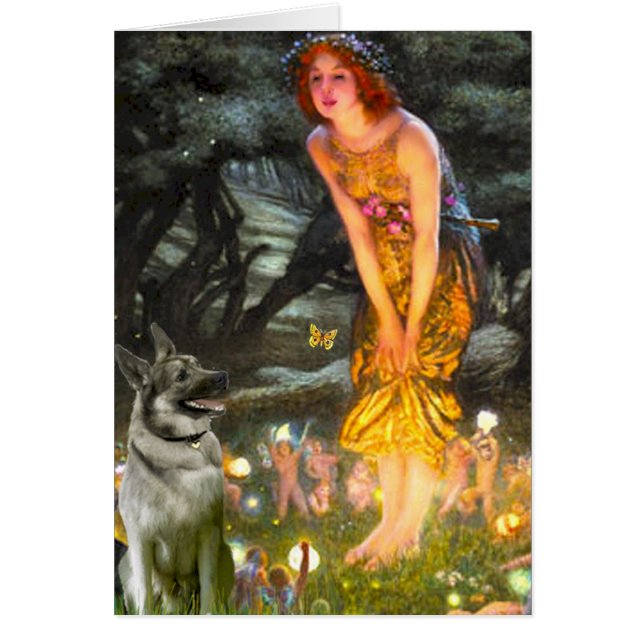 MidEve - Elkhound noruego (Frente)