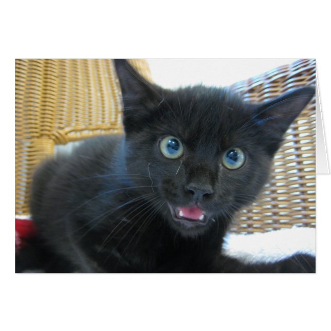 Miedo (Anverso (Horizontal))