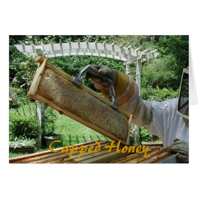 Miel capsulada (Anverso (Horizontal))