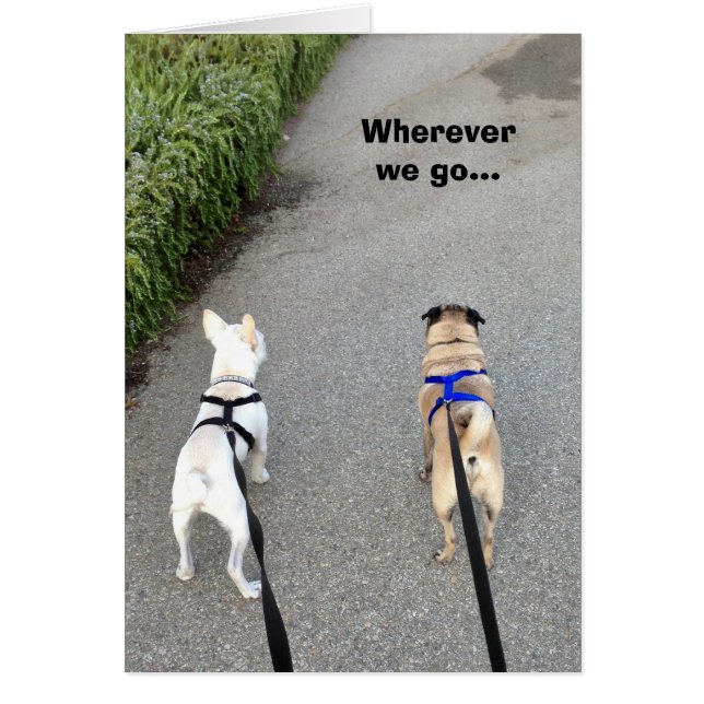 Mientras seamos juntos (Frente)