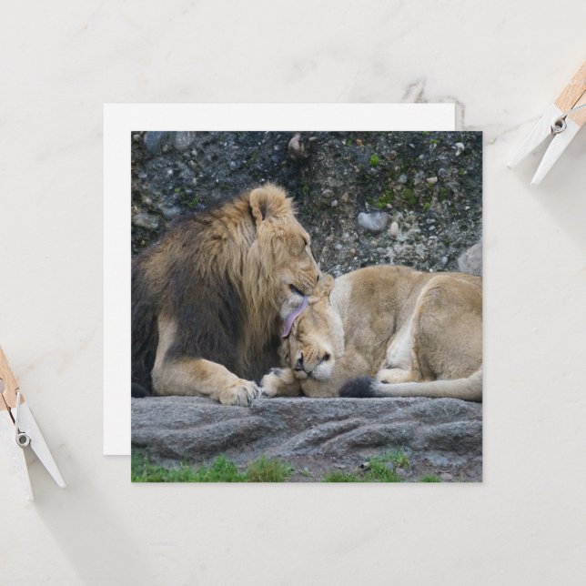 Mighty Lion Love (Anverso/Reverso In Situ)