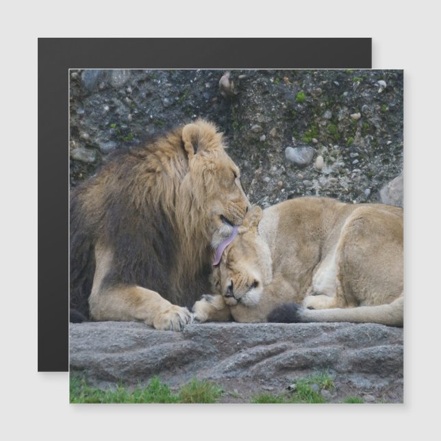 Mighty Lion Love (Anverso/Reverso)