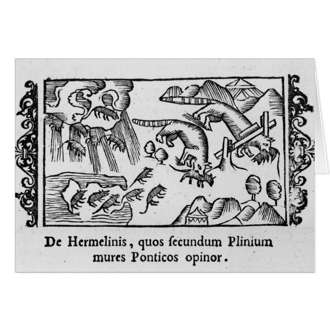 Migración de lemings (Anverso (Horizontal))